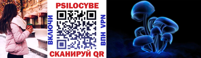 Галлюциногенные грибы Psilocybe Малоярославец